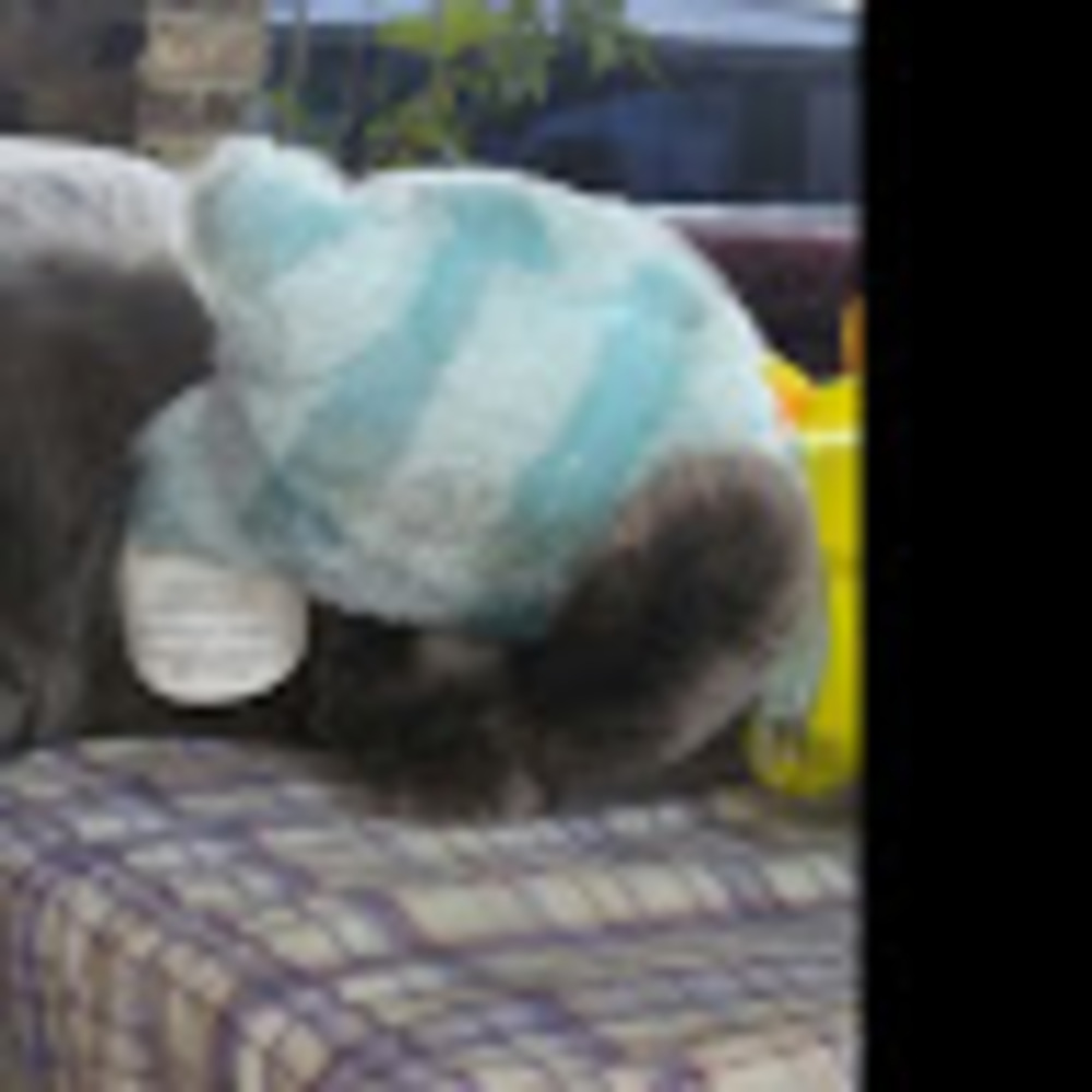 Meet your Posher, Juli